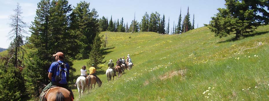 horseback riders go through a mountain meadow