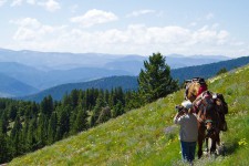 people with horses on a wildflower mountain idaho