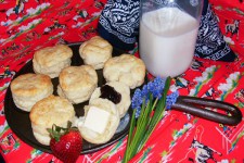 fresh biscuits for picnic