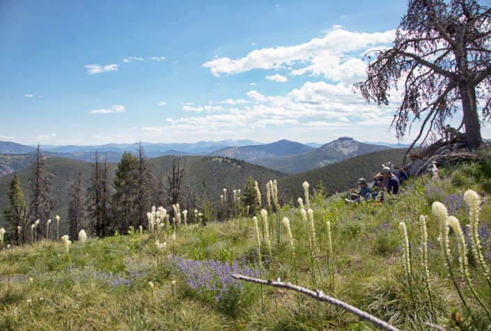 people sitting mountain meadow overlooking idaho wilderness